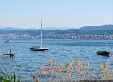 Günstig wohnen am Zürichsee