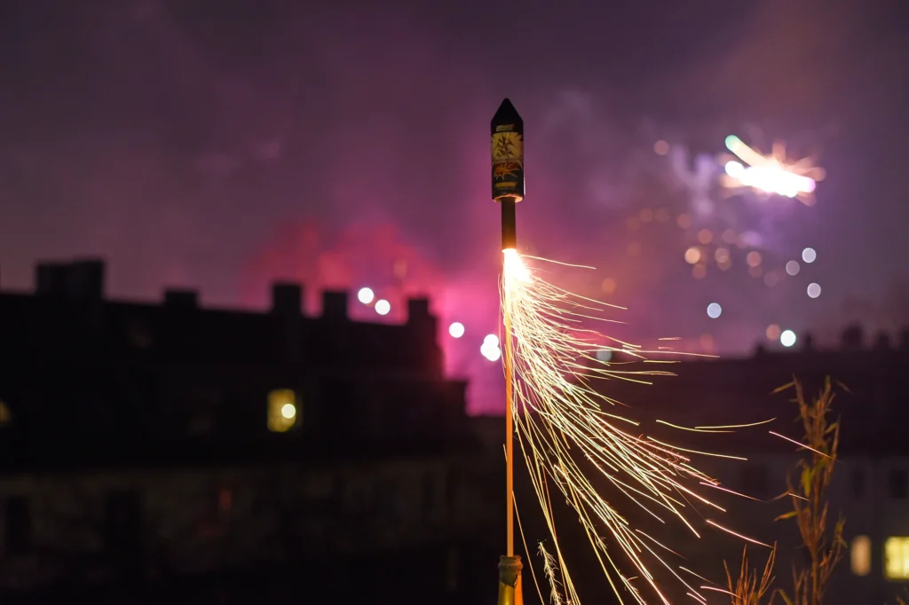 Feuerwerk ist für viele Haus- und Wildtiere mit Stress und Angst verbunden